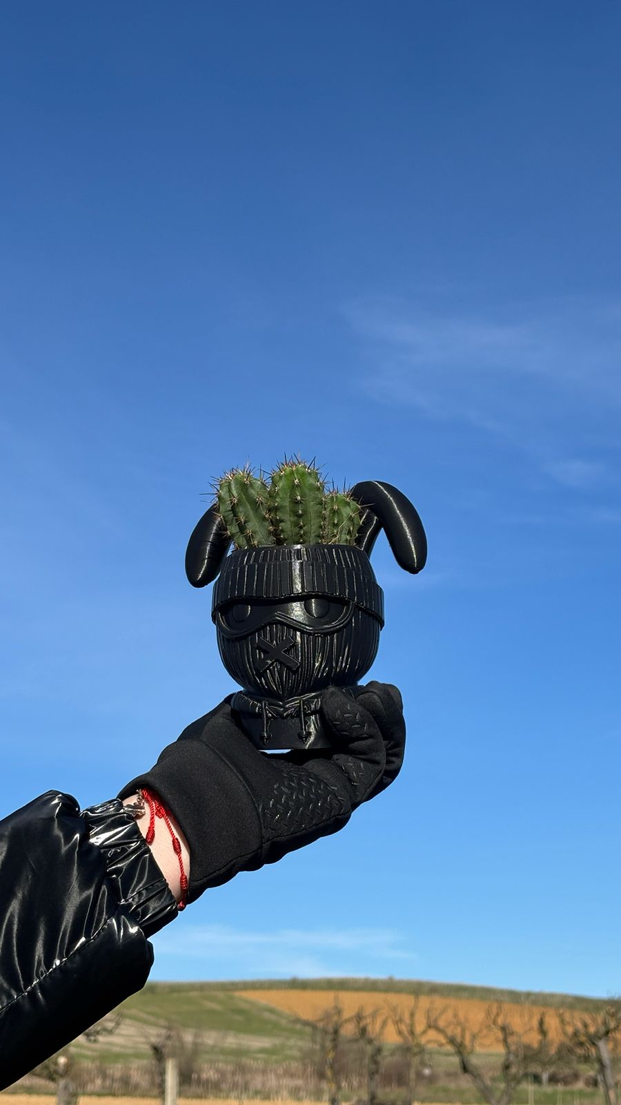 Yummy root - maceta rabbyt R + cactus